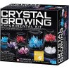 Crystal Growing Experiment