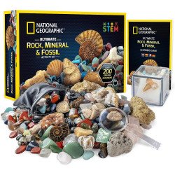 Caja de Colección de Rocas, Minerales y Fósiles - National Geographic