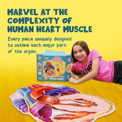 Human Heart Puzzle