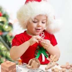Metal And Wood Puzzle - LESONG