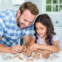 Metal And Wood Puzzle - LESONG