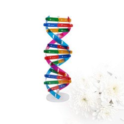 Kit de ADN